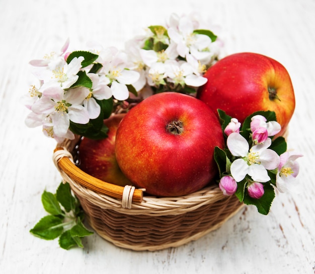 Maçãs e flores de macieira