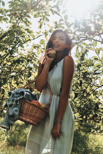 Maçãs mantêm os médicos afastados! Mulher jovem e atraente carregando uma cesta cheia de maçãs e sorrindo em pé no jardim