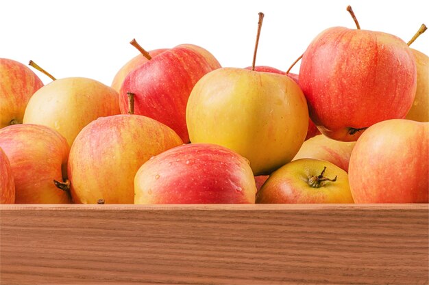 Maçãs numa caixa de madeira frutas frescas maçãs vermelhas e amarelas isoladas em branco