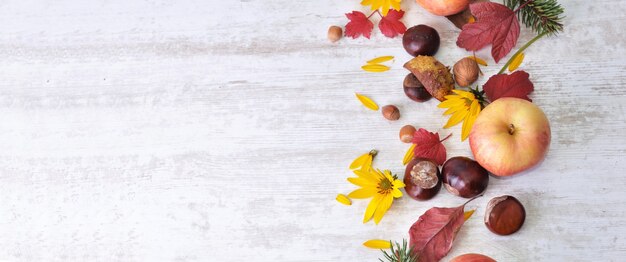 Maçãs vermelhas, flores marrons e amarelas com folhas em natureza morta outonal em branco