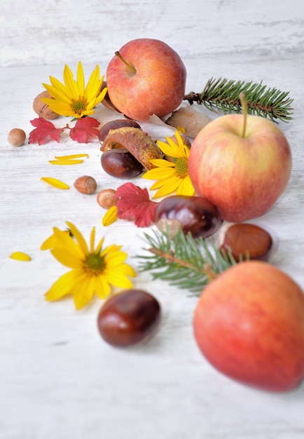 Maçãs vermelhas, marrons, flores amarelas com folhas brancas