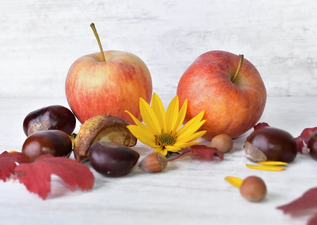 Maçãs vermelhas, marrons, flores amarelas com folhas brancas