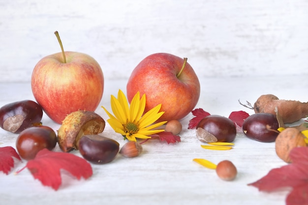 Maçãs vermelhas, marrons, flores amarelas com folhas brancas