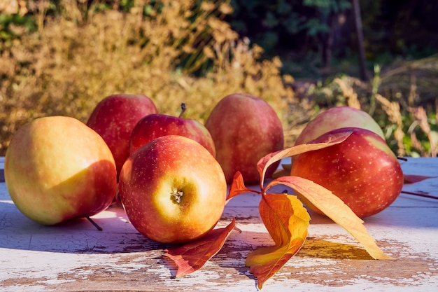 Foto maçãs vermelhas suculentas e maduras em uma velha mesa de madeira no contexto da natureza de outono