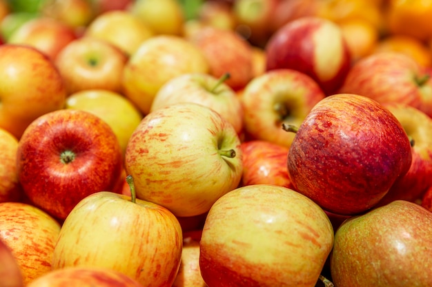 Maçãs vermelho-amarelas frescas em um contador em um supermercado. Alimentação saudável e vegetarianismo. Fechar-se.