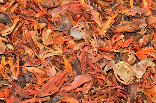 Mace Gewürze Muskatnuss Blumen Mace Spice Hintergrund viele Blumen von Javitri Draufsicht indische Gewürze