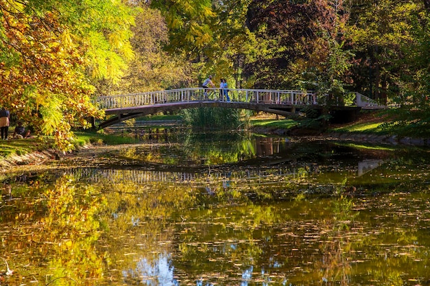 Macedônia Skopje 29 de outubro de 2023 Parque da cidade de Skopje com folhas amareladas nas árvores no outono