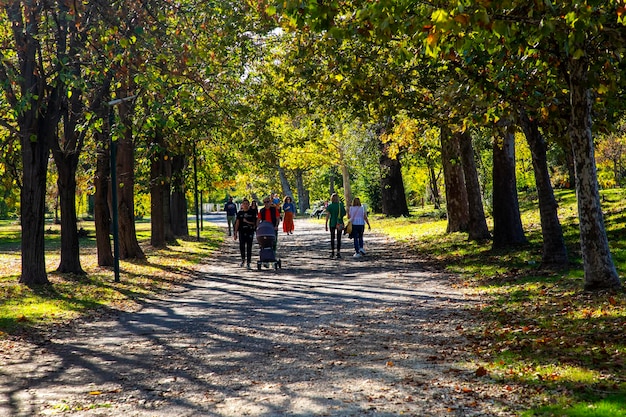 Macedônia Skopje 29 de outubro de 2023 Parque da cidade de Skopje com folhas amareladas nas árvores no outono