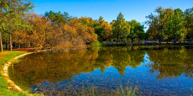 Foto macedonia skopje 29 de octubre de 2023 el parque de la ciudad de skopje con hojas amarillentas en los árboles en otoño