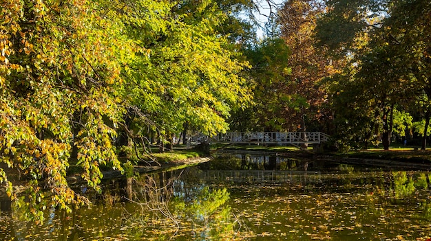 Foto macedonia skopje 29 de octubre de 2023 el parque de la ciudad de skopje con hojas amarillentas en los árboles en otoño