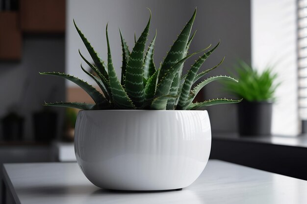 Una maceta blanca con una planta dentro.