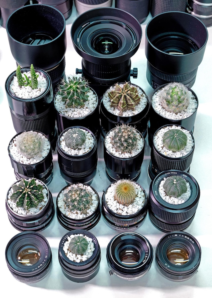 Foto maceta de cactus hecha con lentes de cámaras antiguas