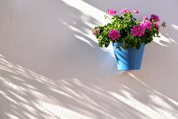 Maceta decorando en una pared blanca en el casco antiguo de Marbella