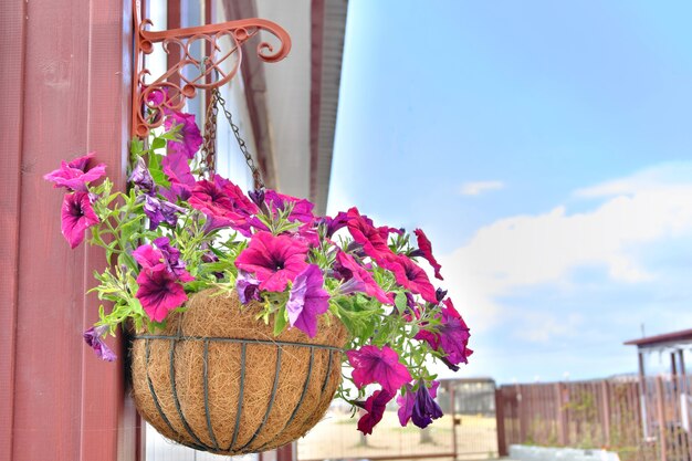 Maceta decorativa con flores de colores colgadas en la pared de la casa de playa. Enfoque selectivo.