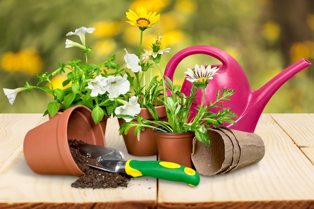 Maceta con flores rojas y utensilios de jardinería sobre fondo de madera