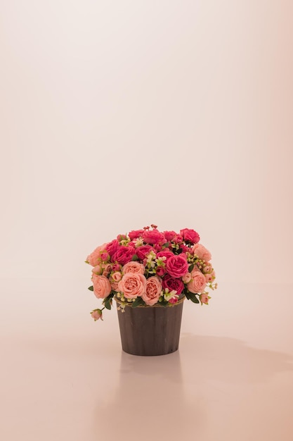 Maceta con flores rosas y blancas sobre un fondo blanco.