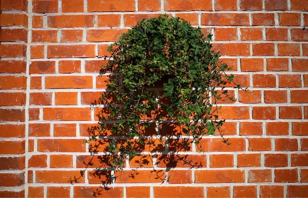 Maceta montada sobre fondo de objeto de pared de ladrillo hd