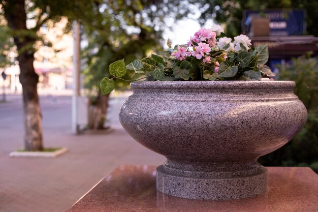 Maceta de piedra con flores en una calle de la ciudad