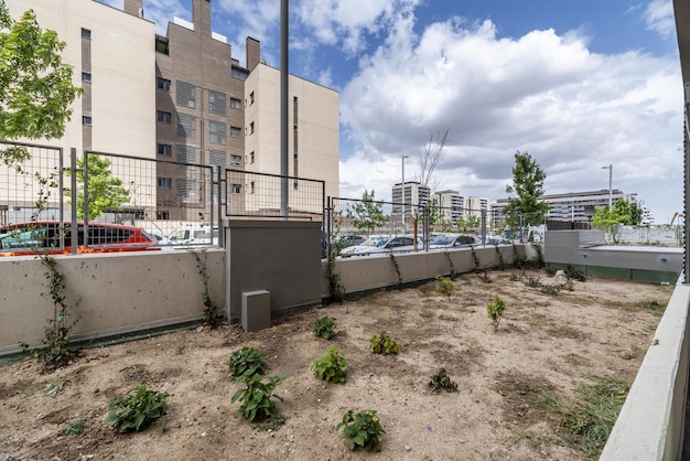 Foto una maceta con plantas recién plantadas en el sótano