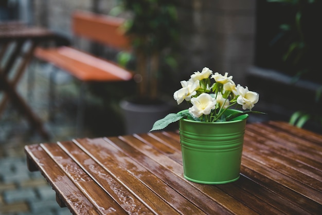 Maceta verde con flores amarillas en una mesa de madera húmeda
