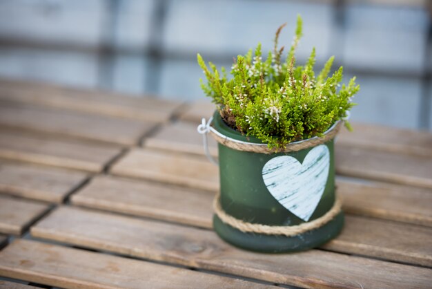 Maceta verde con flores y corazón sobre la mesa en un café