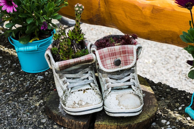 Una maceta de zapatillas viejas y usadas con flores.