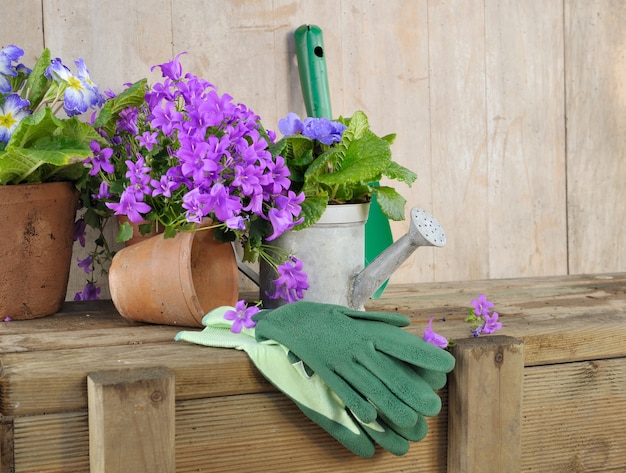 Macetas y accesorios de jardinería en un cobertizo