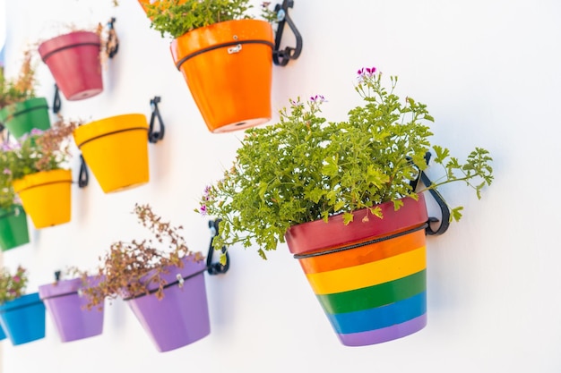 Macetas con colores del arcoíris con colores lgbt Mijas Málaga