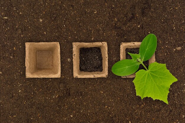 Macetas de cultivo orgánico con tierra y plantas de jardinería vacía.