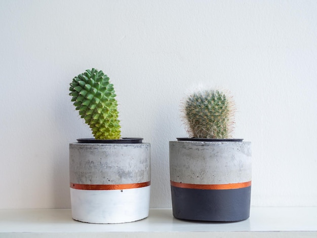 Macetas de hormigón modernas y coloridas con plantas de cactus Macetas de hormigón pintadas para la decoración del hogar