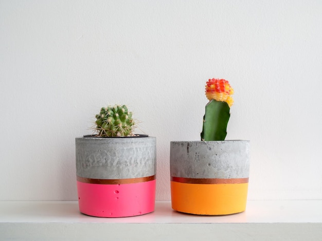 Macetas de hormigón modernas y coloridas con plantas de cactus Macetas de hormigón pintadas para la decoración del hogar
