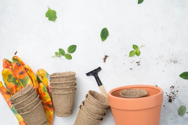 Macetas para plantar vista superior sobre fondo gris Manía de la mujer de cultivar el concepto de plantas de interior