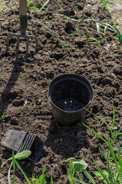 Macetas de plástico vacías en el suelo, rutina de jardinería