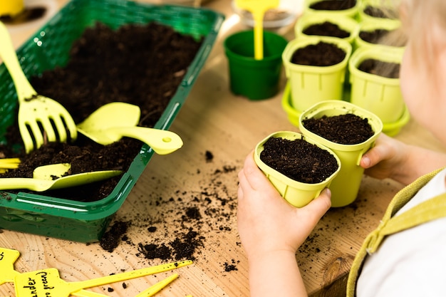 Macetas con tierra en una mesa de madera para plantar semillas y plántulas de hortalizas, micro greens, rúcula, concepto de jardinería y plantar plantas.