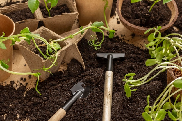 Macetas de turba y papel con plántulas Herramientas de jardín y tierra