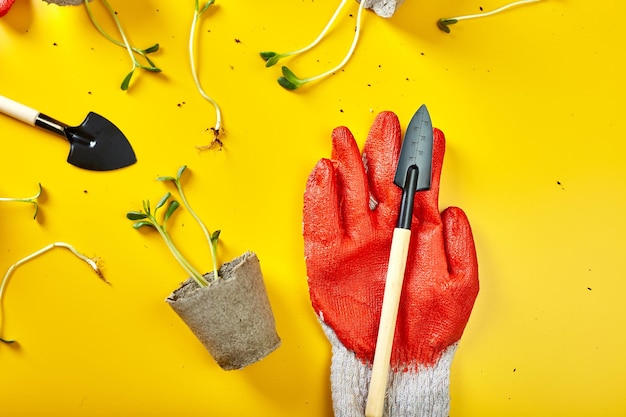 Foto macetas de turba planas, herramientas de jardinería y verduras sobre fondo amarillo