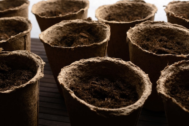 Macetas de turba con tierra