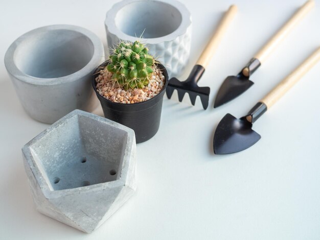 Macetero geométrico de hormigón con planta de cactus y juego de herramientas de jardín.