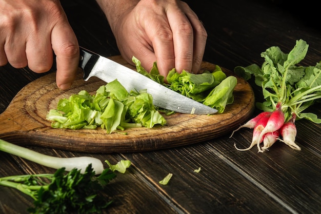 Machen Sie Salat und Radieschensalat zu Hause und schneiden Sie ihn mit einem Messer von den Händen eines Kochs