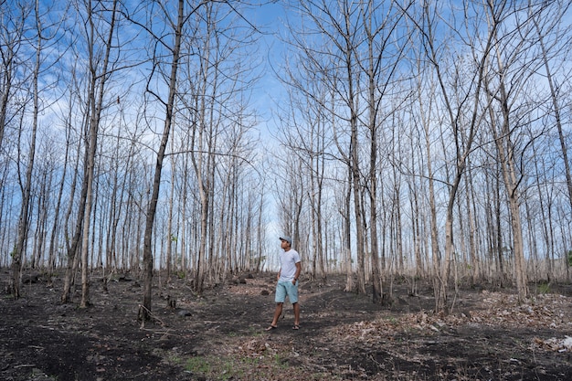 Macho em pé na floresta com árvores sem folhas