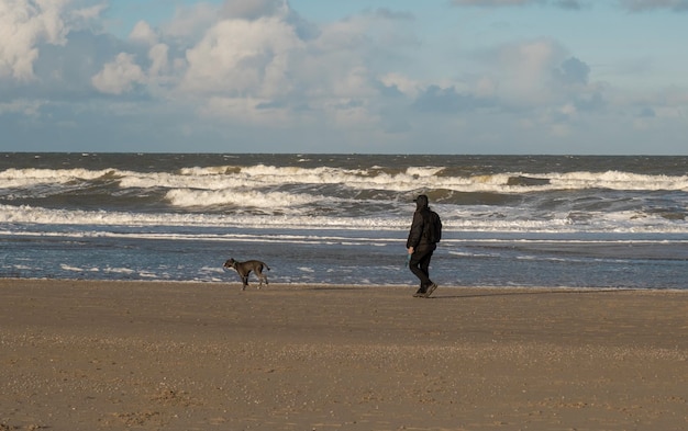 Foto el macho y su perro caminando por la orilla del mar por la mañana en la playa de scheveningen, mar del norte, la haya, países bajos