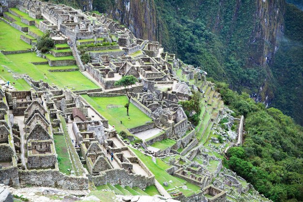 Machu Picchu