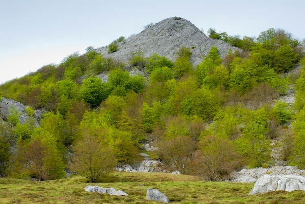 Maciço cárstico de Itxina no Parque Natural de Gorbea, País Basco, Espanha