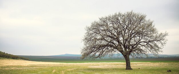 Macin montañas de Dobrogea, Rumania