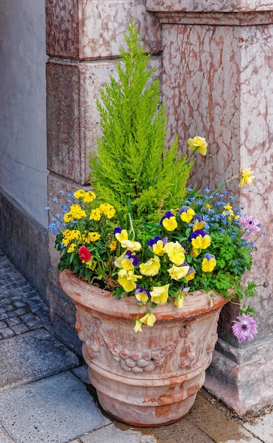 Macizo de flores de la calle con las flores que florecen en el centro de Munich, Alemania