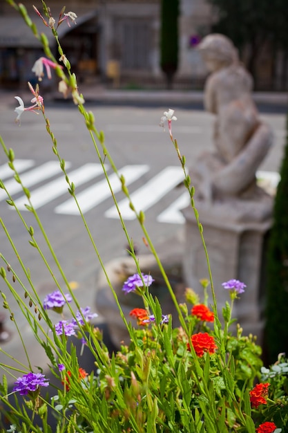 Macizo de flores multicolor en una calle de una ciudad francesa Disparo con un pequeño GRIP