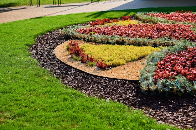 Macizo de flores en el parque paisajístico urbano en un cálido día de verano