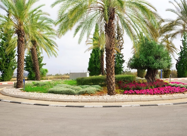 Macizo de flores de una plaza de la ciudad