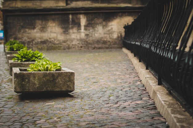 Macizos de flores de piedra contra la pared