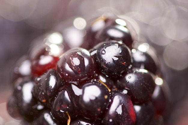 Macro Blackberry con gotas de agua